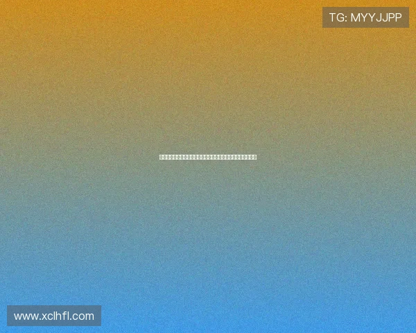 荷兰足协引入创新运动员负荷管理系统提升训练效果与比赛表现